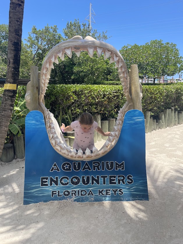 A child plays in a shark mouth display at Florida Keys Aquarium Encounters.
