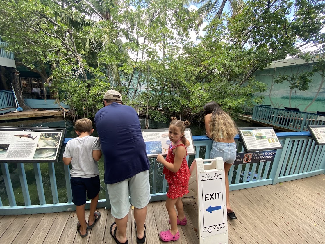 Two children and an adult observe marine exhibits at Key West Aquarium, with informative signs visible.