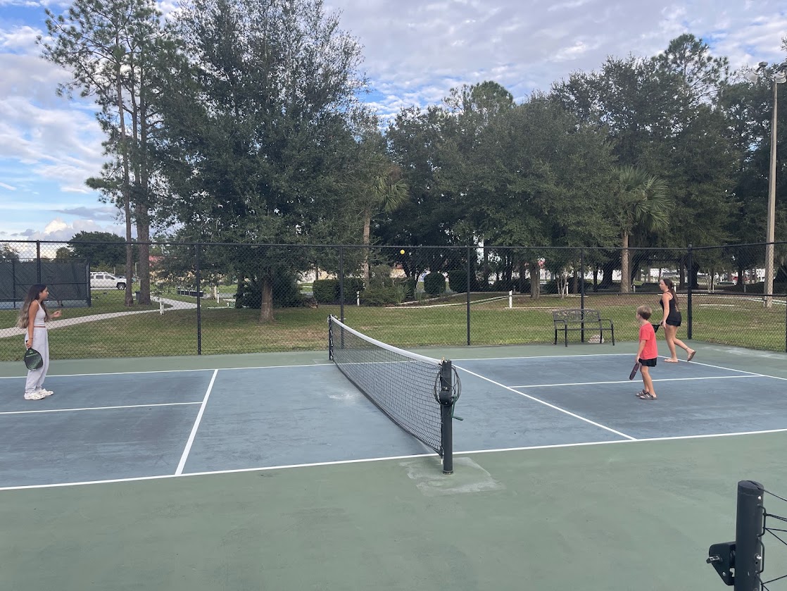 Pickleball Set
